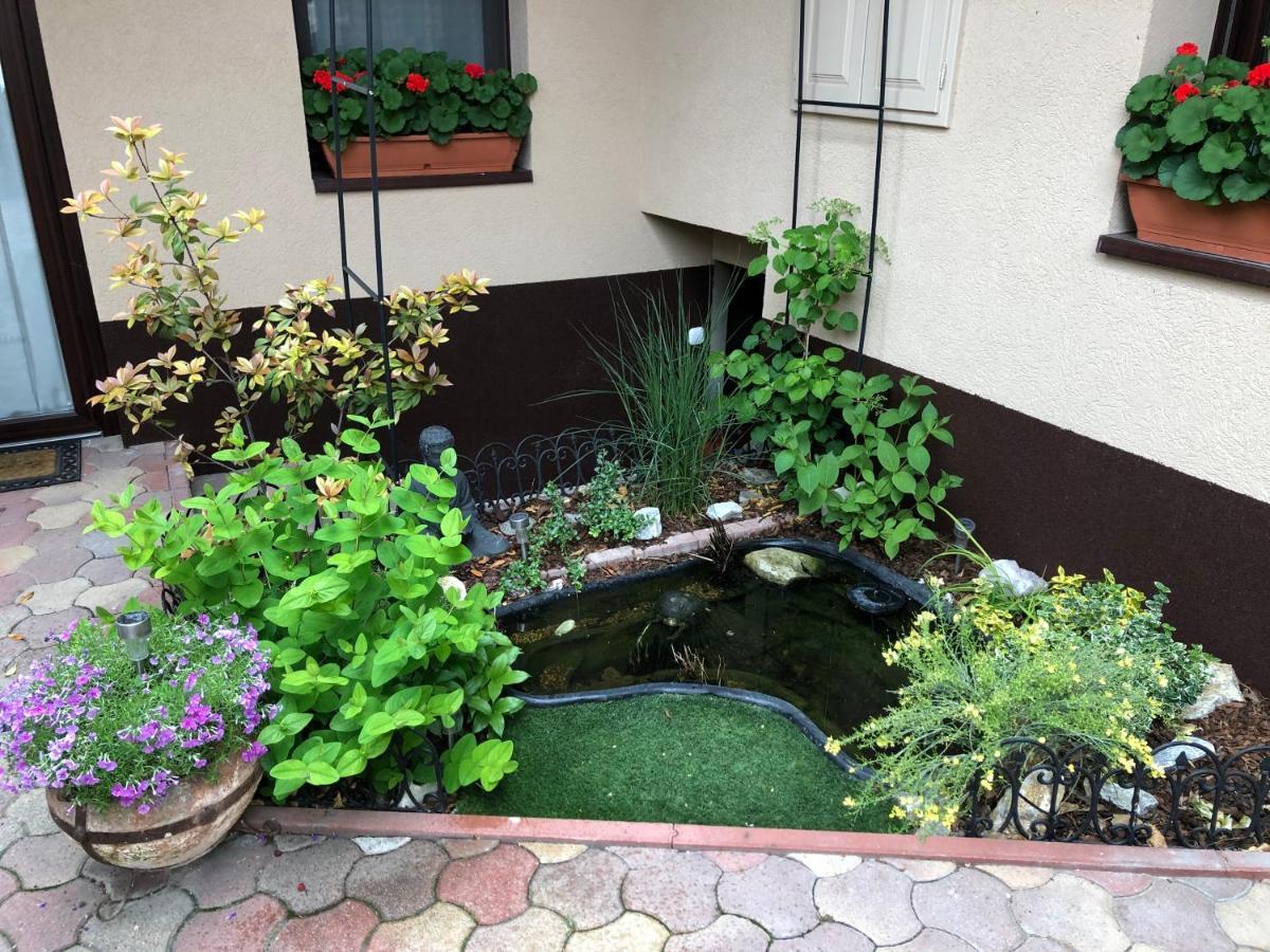 Milla Apartman Сентендре Екстериор снимка